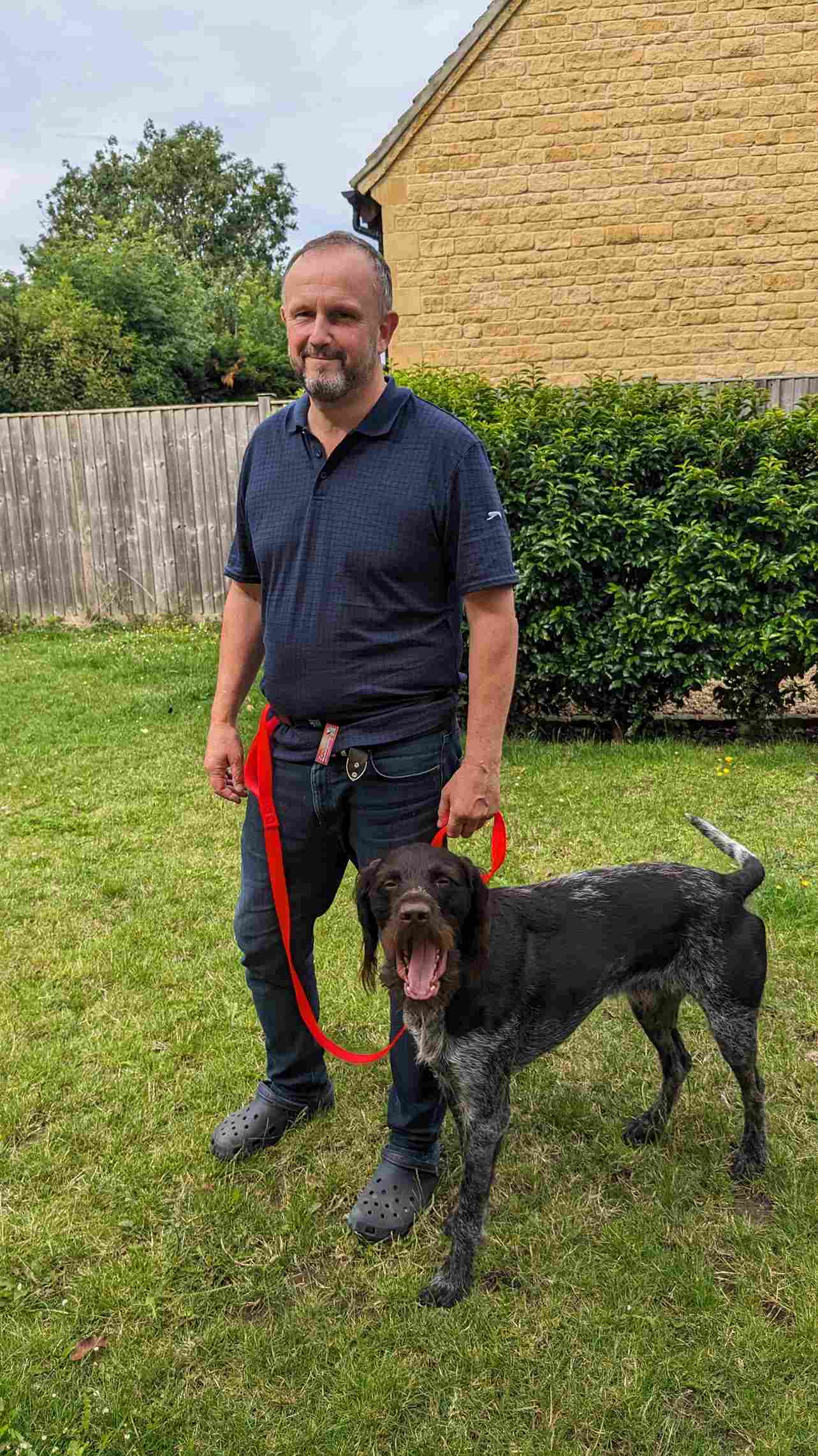 Dog 2024 walking belts